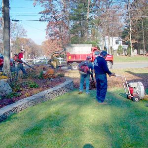 Fall Leaf Clean Up in Greater Boston Area