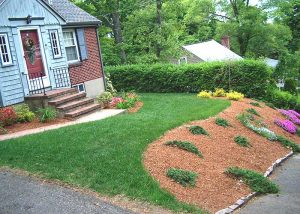 New Plants, Lawn & Mulch