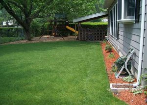 New Seeded Lawn, Mulching & Playground