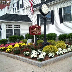 Fall Commercial Planting of Mums