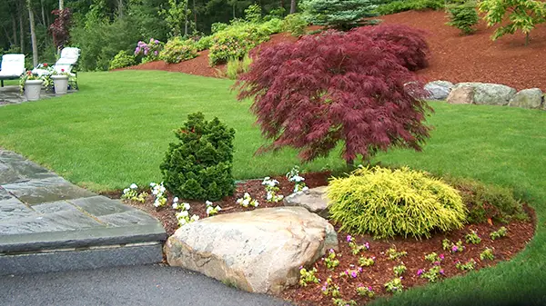 Beautiful Burlington MA Home Landscape