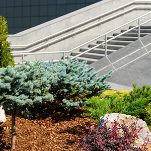 Commercial Landscaping & Maintenance